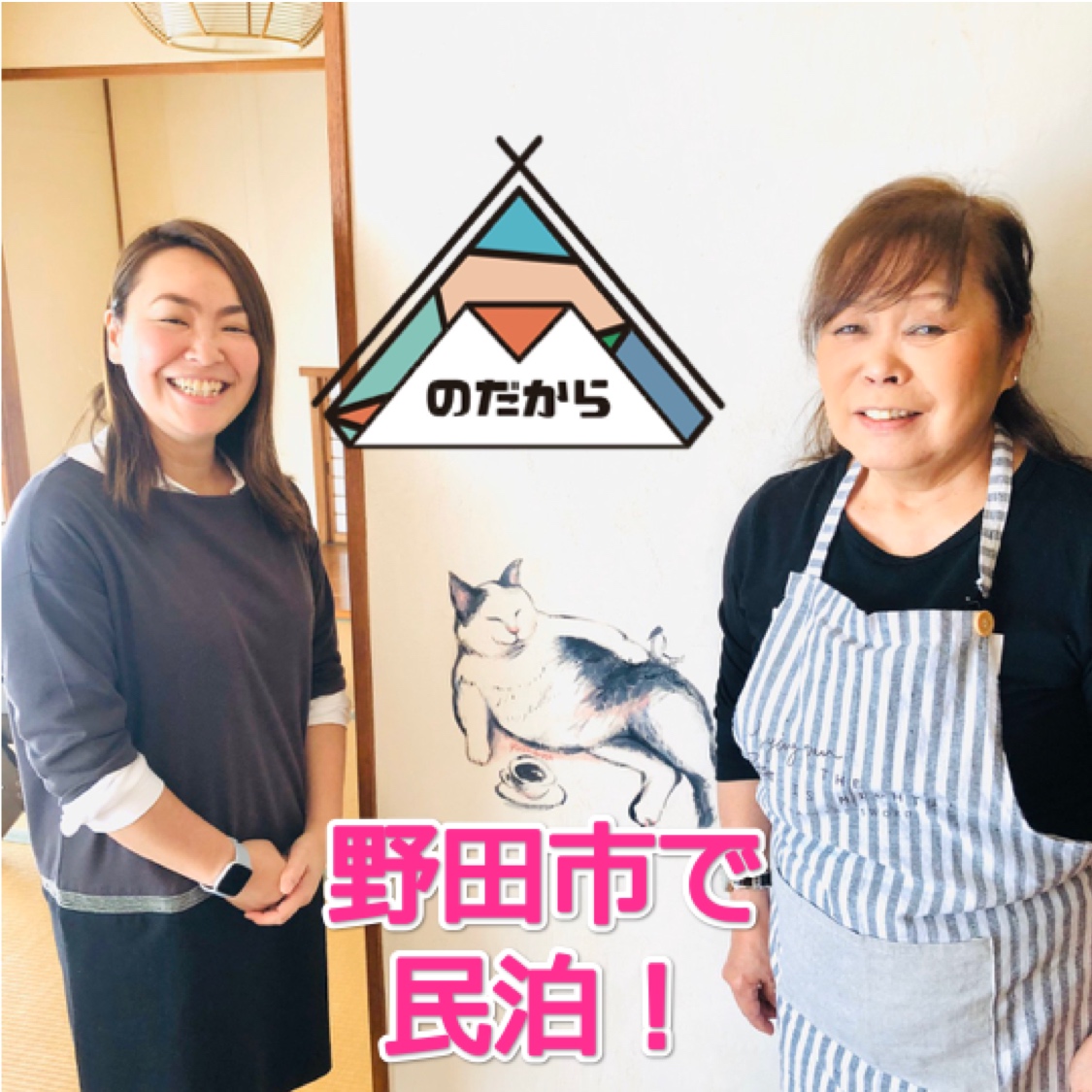 株式会社のだから