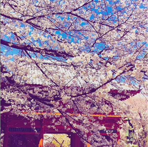 Shimizu Kouen　〜清水公園〜